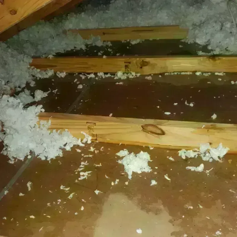 Attic Water Damage in Blades, DE